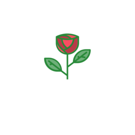 Max Rose Icon, eine Rose